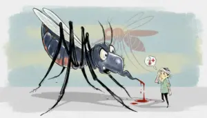 सुदूरपश्चिममा डेंगुबाट ३ वर्षमा ७ हजारभन्दा बढी प्रभावित